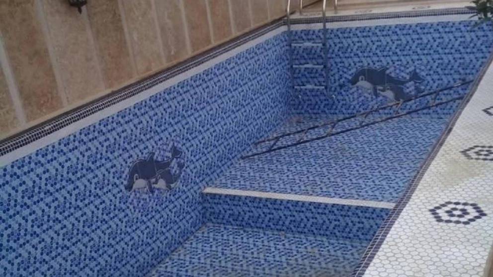 طراحی وساخت و اجرای صفر تا صد پروزه های استخر سونا جکوزی در منطقه آمل و چمستان